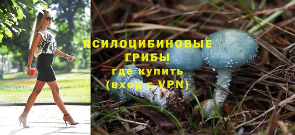 прущая мука Белокуриха
