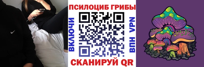 Купить  Малоярославец  Псилоцибиновые грибы Psilocybe 